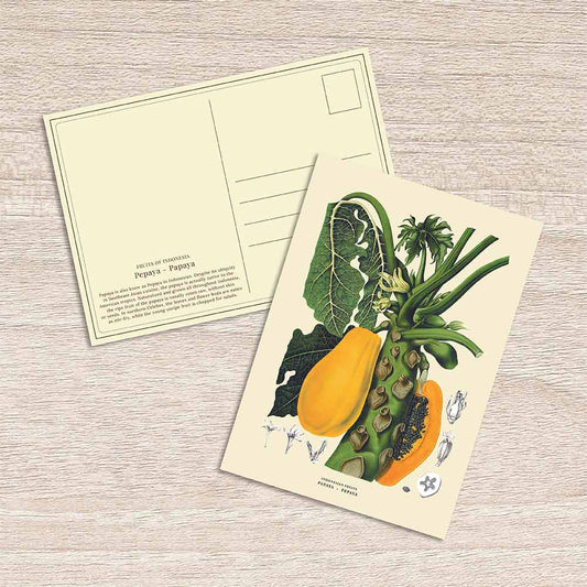 Lumikasa Art Postcard Pepaya - Papaya