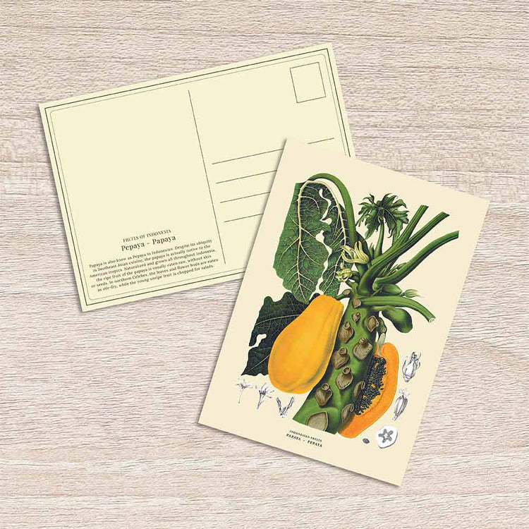 Lumikasa Art Postcard Pepaya - Papaya