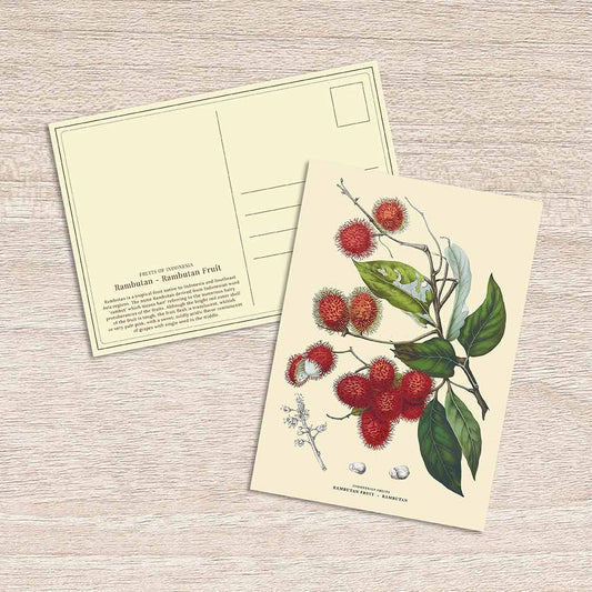 Lumikasa Art Postcard Rambutan - Rambutan Fruit