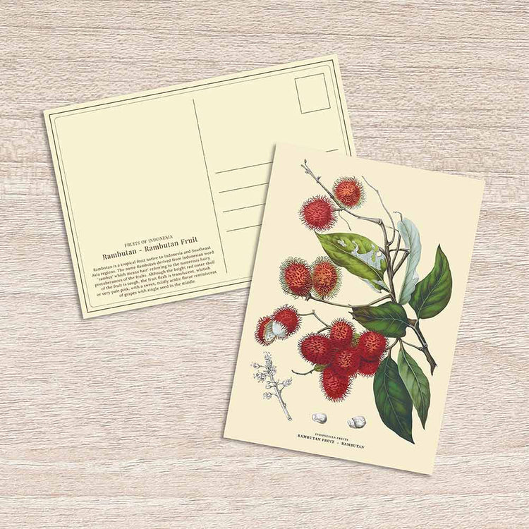 Lumikasa Art Postcard Rambutan - Rambutan Fruit