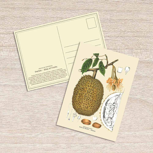 Lumikasa Art Postcard Durian - King of Fruits