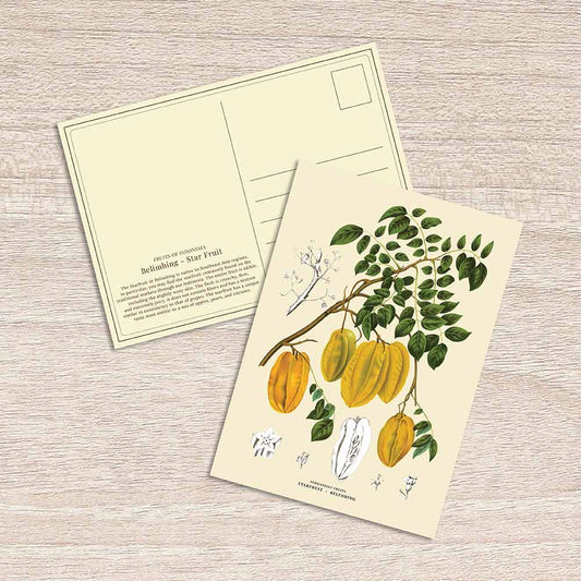 Lumikasa Art Postcard Belimbing - Star Fruit