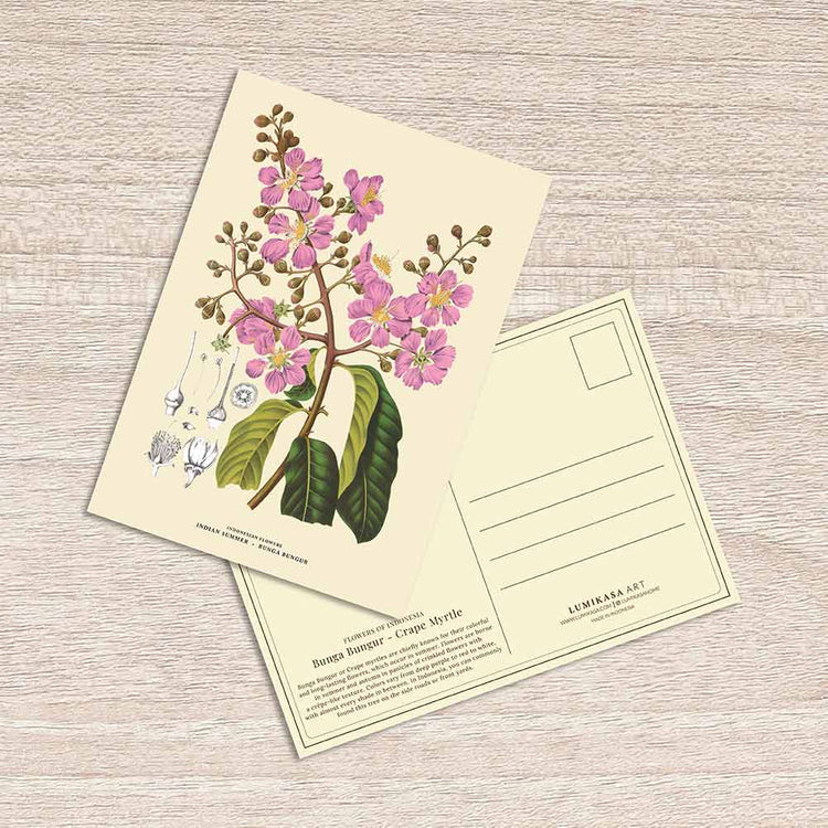 Lumikasa Art Postcard Bunga Bungur - Crape Myrtle