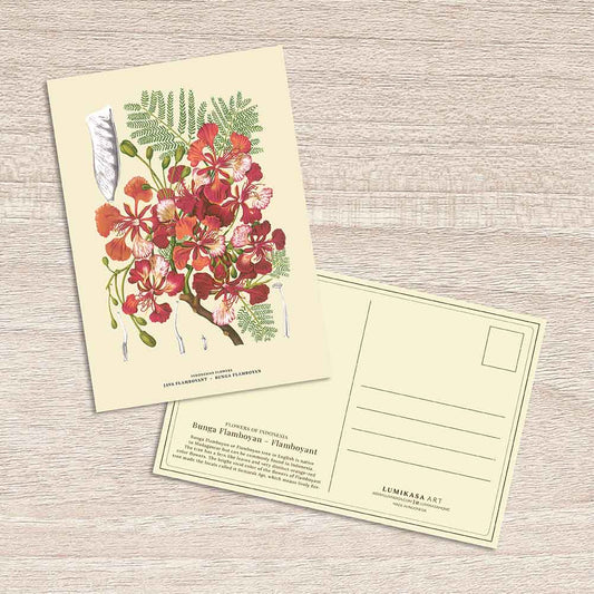 Lumikasa Art Postcard Bunga Flamboyan - Flamboyant