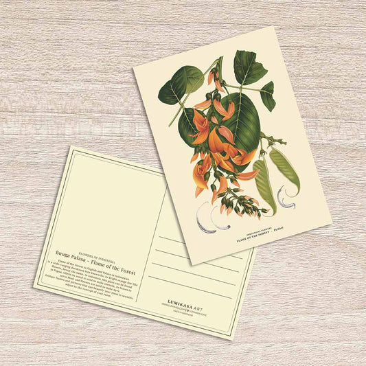 Lumikasa Art Postcard Bunga Palasa - Flame of the Forest
