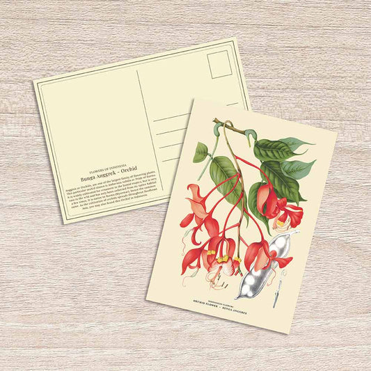 Lumikasa Art Postcard Bunga Anggrek - Orchid