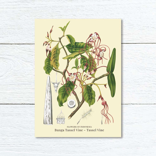 Lumikasa Art Greeting Card Bunga Tassel Vine - Tassel Vine