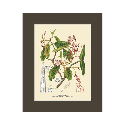 Lumikasa Art PP3 Bunga Tassel Vine - Tassel Vine