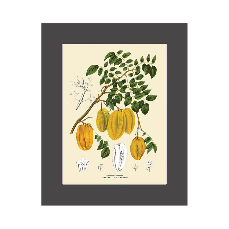 Lumikasa Art PP3 Belimbing - Star Fruit