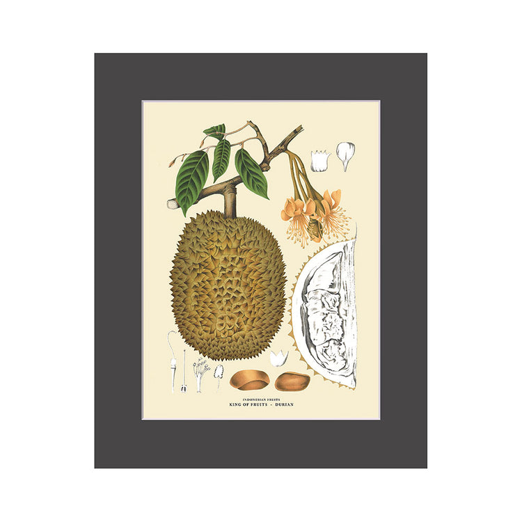 Lumikasa Art PP3 Durian - King of Fruits
