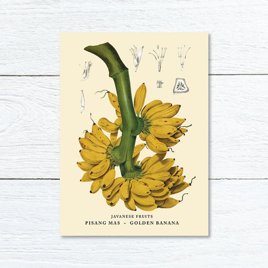 Lumikasa Art Greeting Card Pisang Mas - Golden Banana