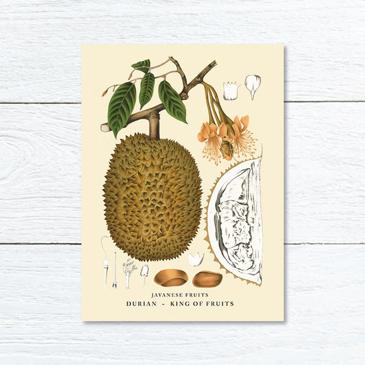 Lumikasa Art Greeting Card Durian - King of Fruits