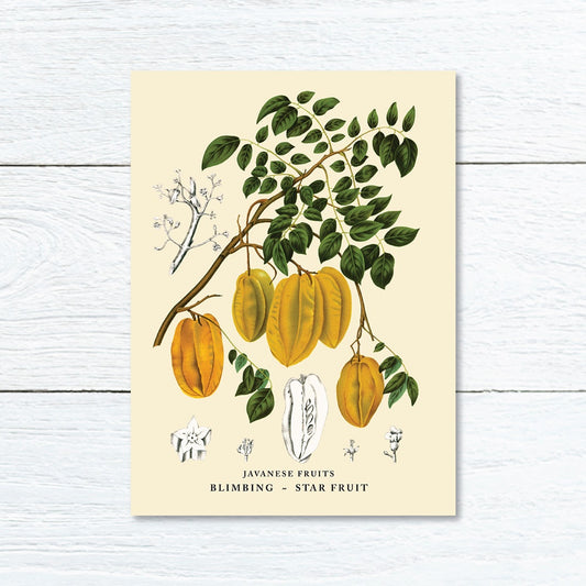 Lumikasa Art Greeting Card Belimbing - Star Fruit