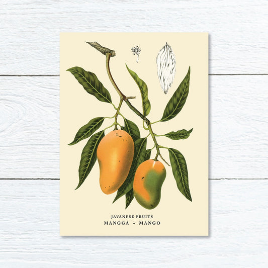 Lumikasa Art Greeting Card Mangga - Mango