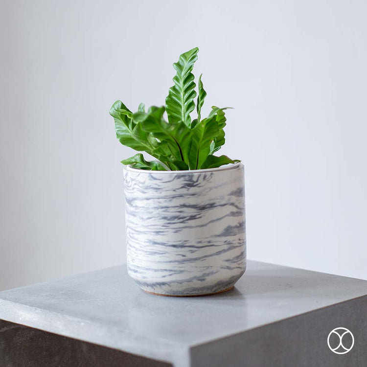 Concreate Cassa Planters Marble