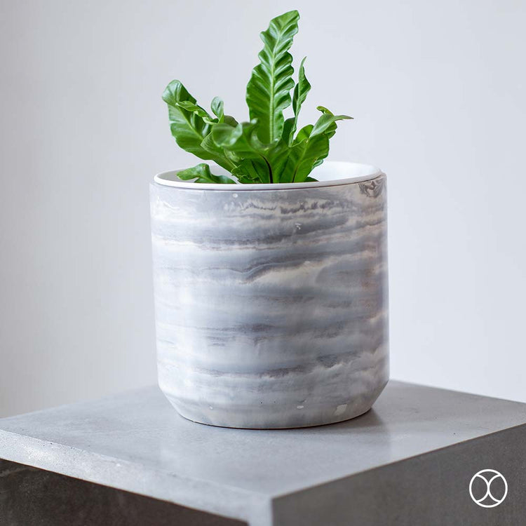 Concreate Cassa Planters Marble