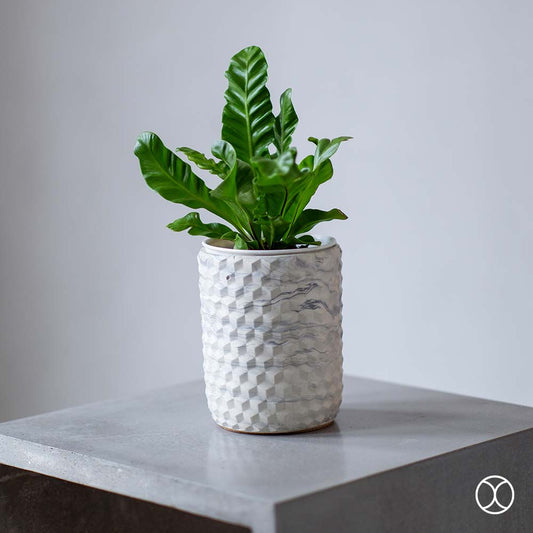 Concreate Samsara Planters Marble