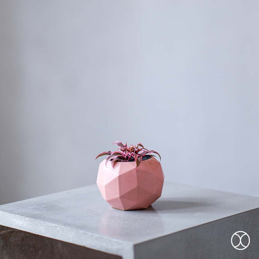 Concreate Reatha Planters Pink