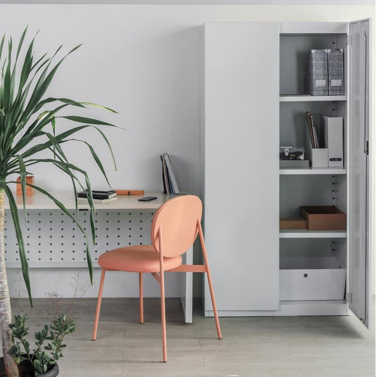 Firm Cabinet Swing Door