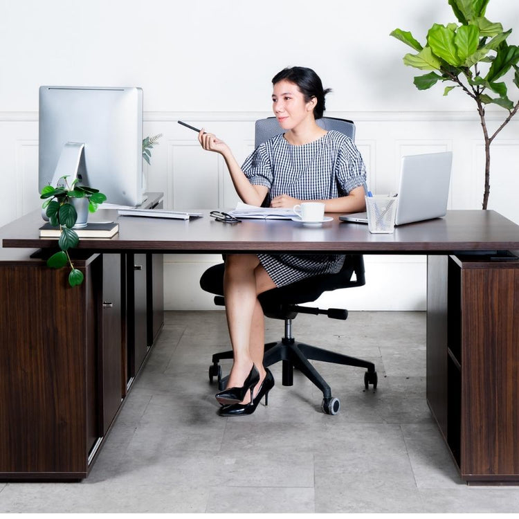 Firm Mezzo Director Desk