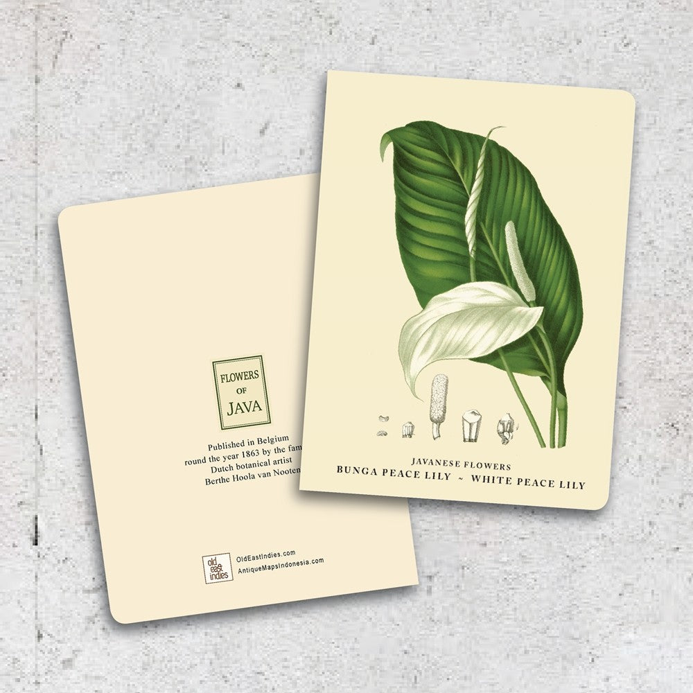 peace lily book Lumikasa Art Thin Book Bunga Peace Lily