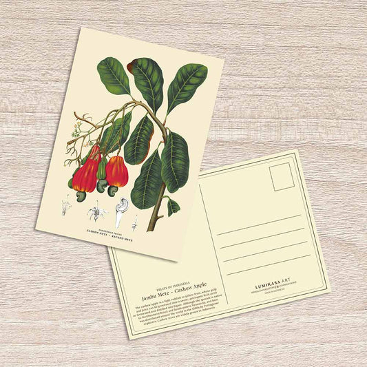 Lumikasa Art Postcard Jambu Mete - Cashew Apple