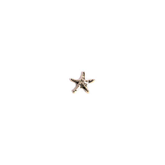 Lumikas Figurine Bintang Laut Silver Kecil