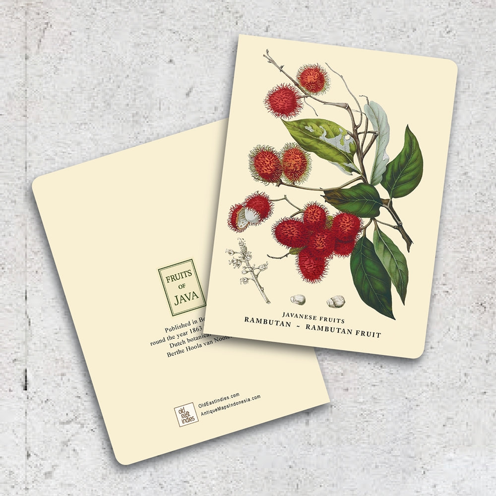 Book Rambutan Lumikasa Art Thin Book Rambutan - Rambutan Fruit